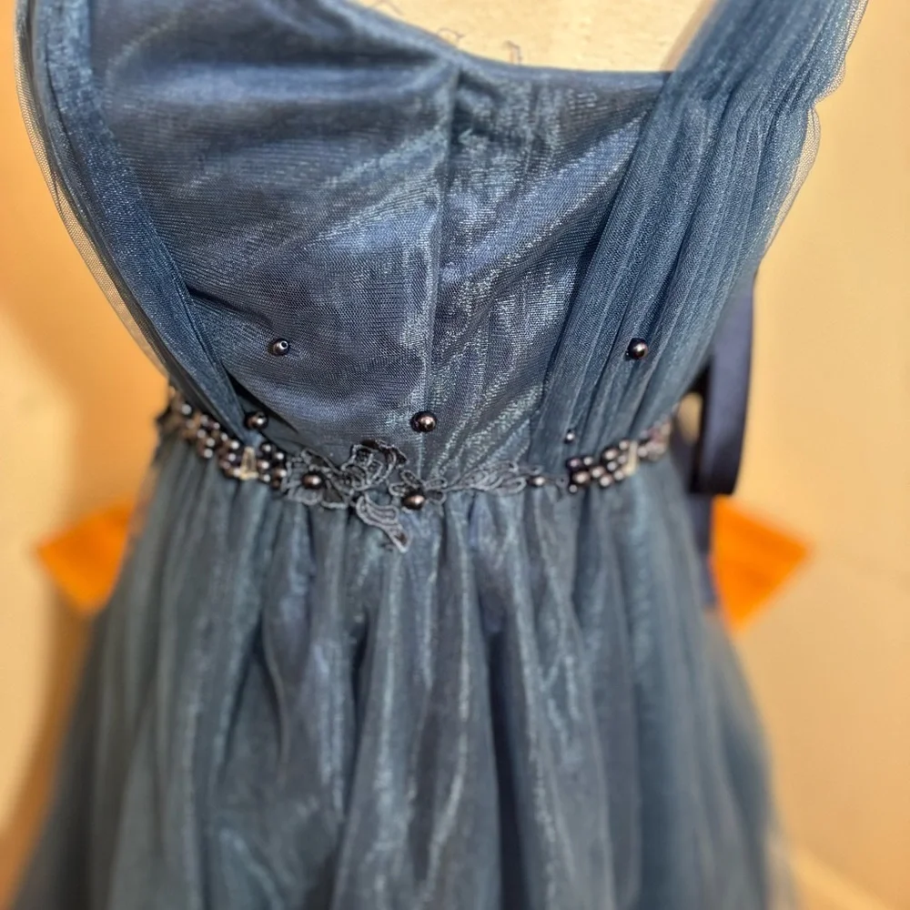 Gorgeous Jeweled Evening Gown Dress - Picture 13 of 16